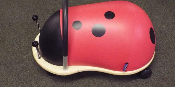 Ladybird wheelybug at Kershaw’s Garden Centre