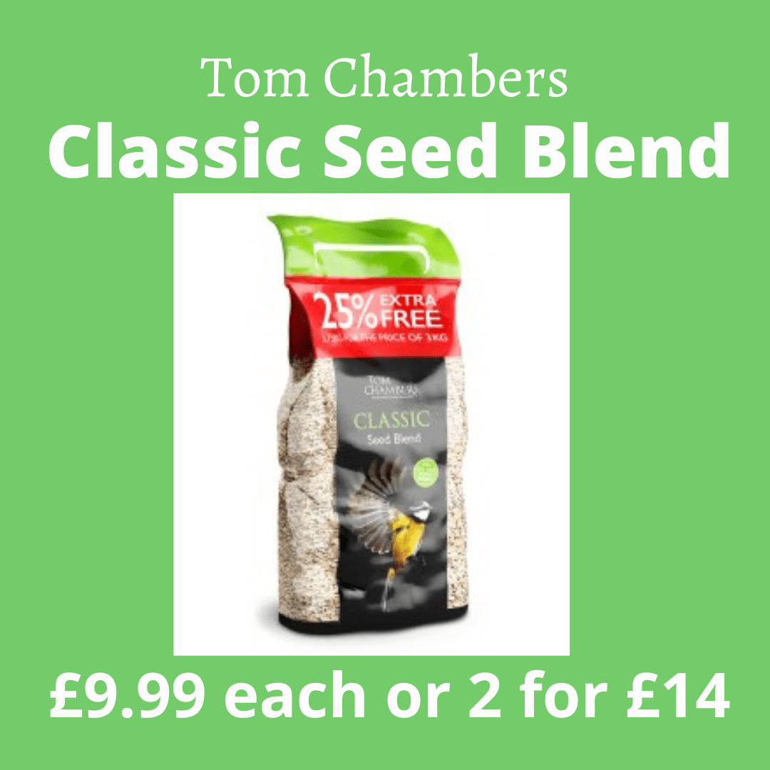 _Tom Chambers Classic (2)