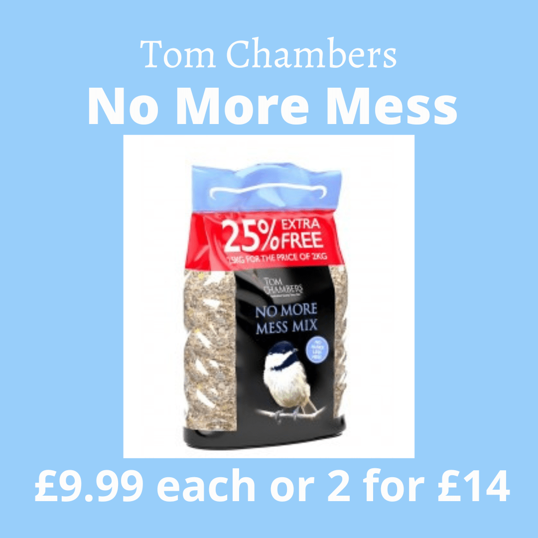 Tom Chambers no more mess (2)
